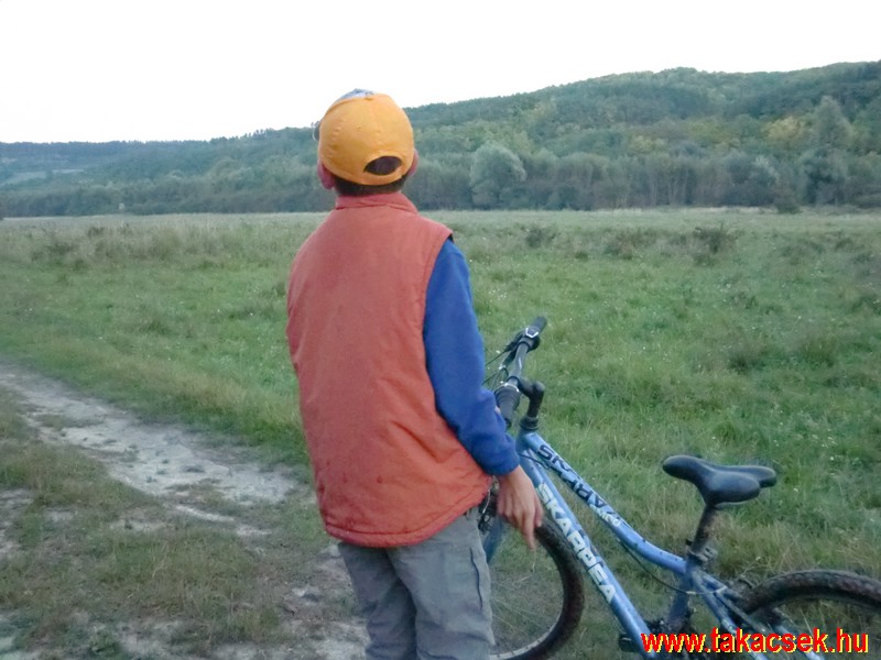 Kép